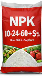 NPK 10-24-20